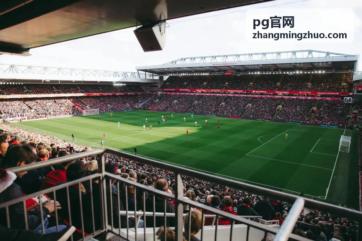 pg官网平台功能说明与模块索引示意