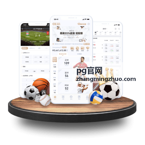 pg官网账号安全核查流程示意