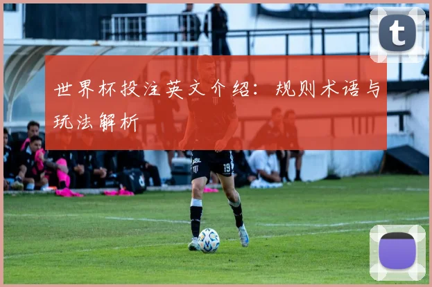 世界杯投注英文介绍：规则术语与玩法解析