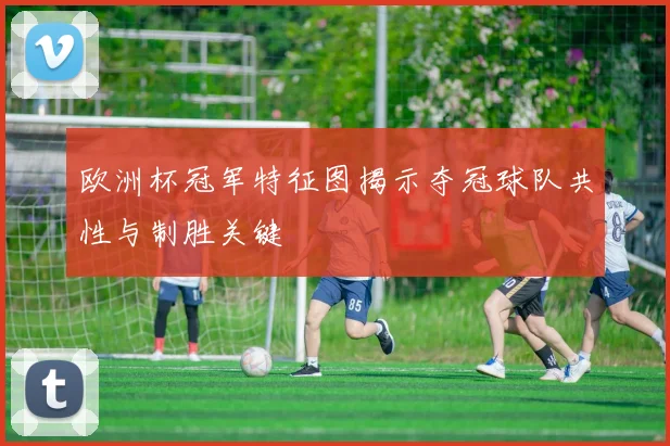 欧洲杯冠军特征图揭示夺冠球队共性与制胜关键