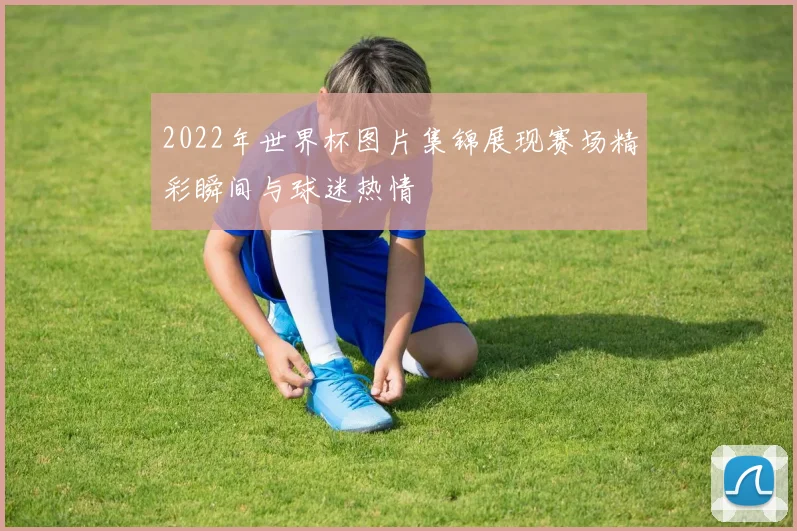 2022年世界杯图片集锦展现赛场精彩瞬间与球迷热情